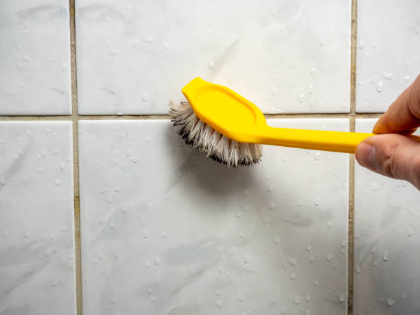 Best Mold Removal Company Near Me  in Collinsvle, IL