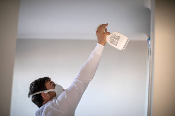 Best Attic Mold Removal  in Collinsvle, IL